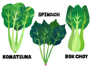 小松菜・チンゲン菜・ほうれん草の共通の特徴