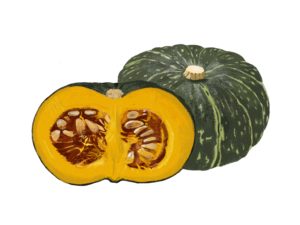 かぼちゃの皮と種の栄養効果