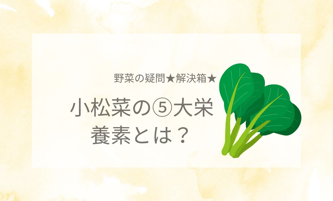 小松菜の5大栄養素とは？栄養が取れるおすすめレシピなど！