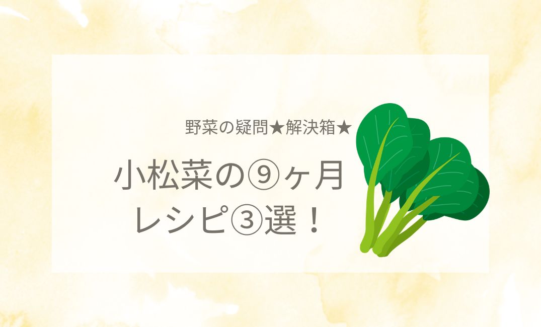 小松菜の9ヶ月レシピ3選！赤ちゃんの離乳食後期におすすめなのは？
