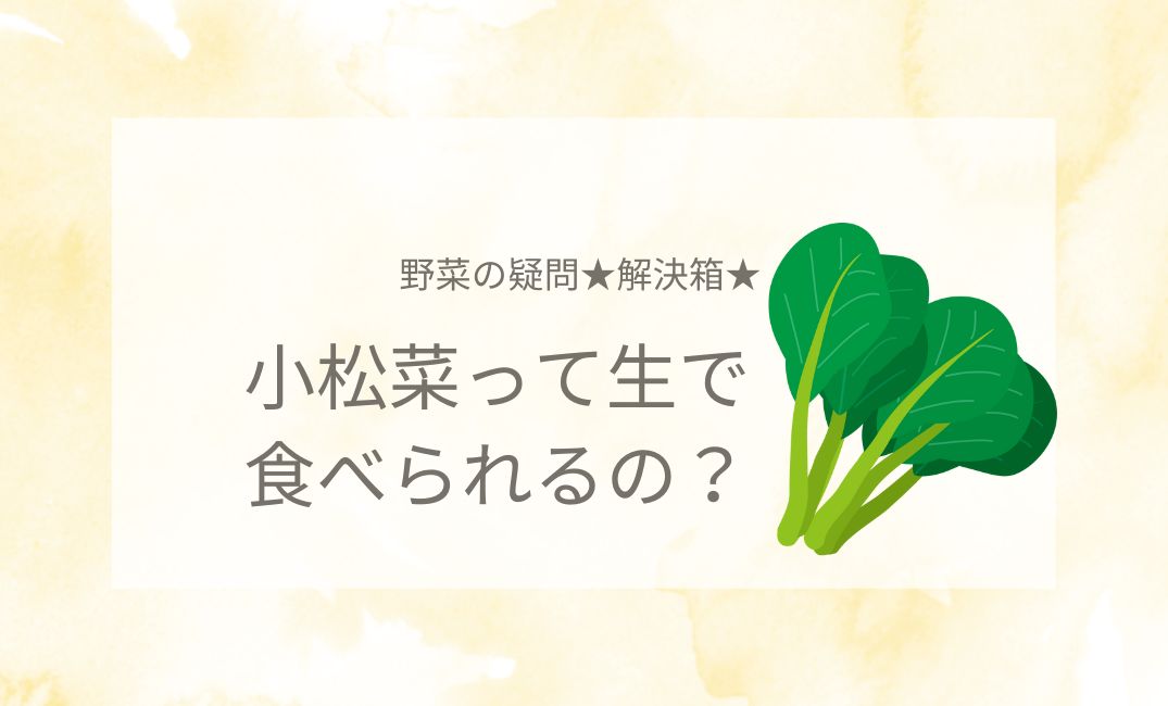 小松菜って生で食べられるの？生食する小松菜の選び方と保存法！