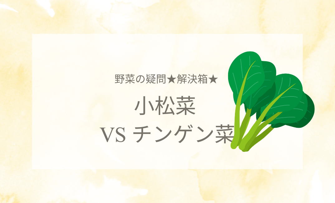 小松菜VSチンゲン菜