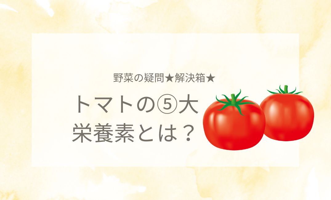トマトの5大栄養素とは？リコピン以外に何が含まれるのか解説！