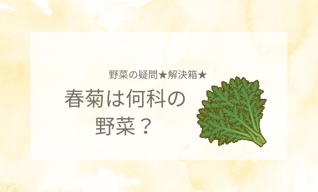 春菊は何科の野菜なの？菊菜との違いや美味しい春菊の選び方！