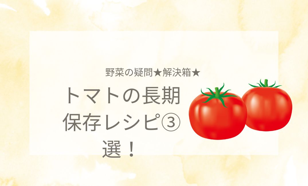 トマトの長期保存レシピ3選！トマトは冷凍が長期保存のコツ？